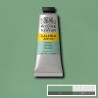Winsor & Newton Galeria Acrylic Color 60ml - Group of Green Shades